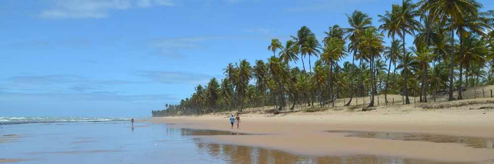 Things to do in Salvador Bahia